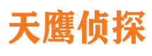 叶城市侦探调查公司